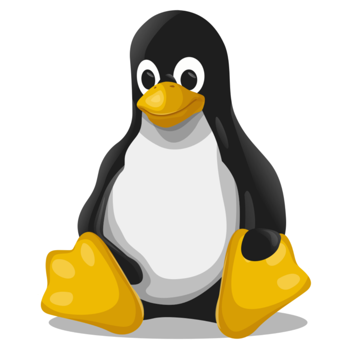 TryHackMe | Linux Fundamentals - Parte 1 (ESPAÑOL)